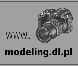 modeling